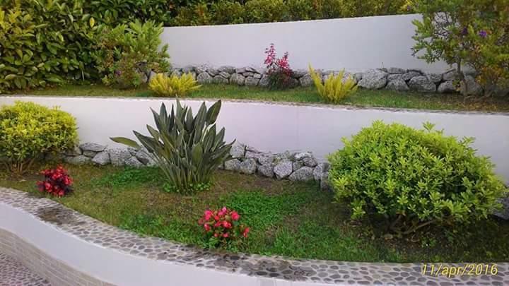 B&B Il Quadrifoglio טרופאה מראה חיצוני תמונה